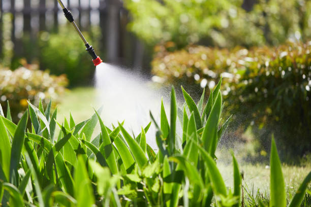 24/7 Emergency Rodent Control experts in Farmersburg, IN